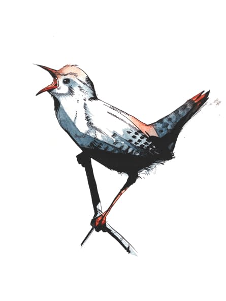 Photo 1 de l'œuvre "Eurasian Wren 4" par Rémy Sant sur art24