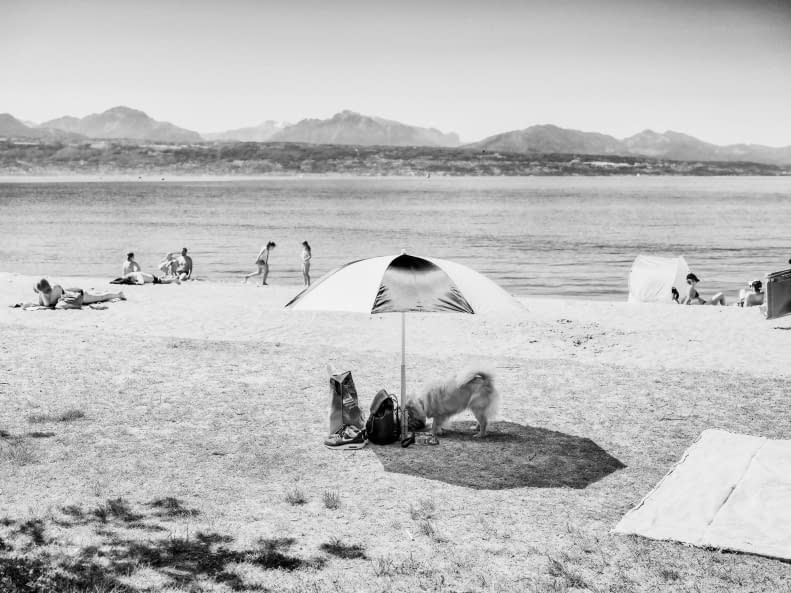 Foto 1 des Kunstwerks "Quand tu as trouvé ton bonheur , Lausanne" von Sylvain Blanchoud auf art24