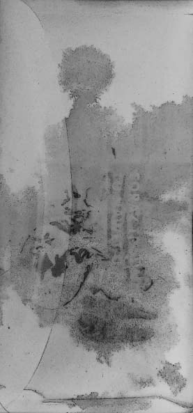 Foto 1 des Kunstwerks "Ausgeworfen, gerettet" von Renata Srebro auf art24