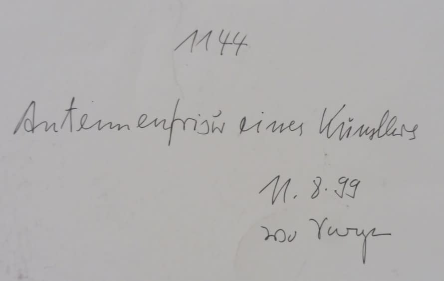 Foto 1 des Kunstwerks "Antennenfrisur" von Wo Sarazen auf art24