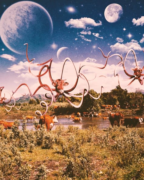 Foto 1 des Kunstwerks "Über Kühe und Aliens" von Merge Visible auf art24