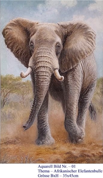 Foto 1 des Kunstwerks "01. Afrikanischer Elefantenbulle" von Hans Jakob auf art24
