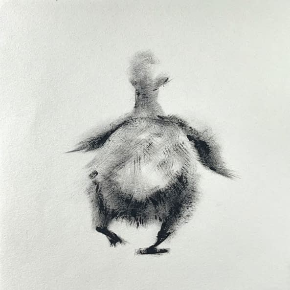 Photo 1 de l'œuvre "49 Duck Butts" par Rémy Sant sur art24