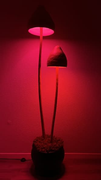 Photo 1 de l'œuvre "Shroom Lamp" par jkbmlck sur art24