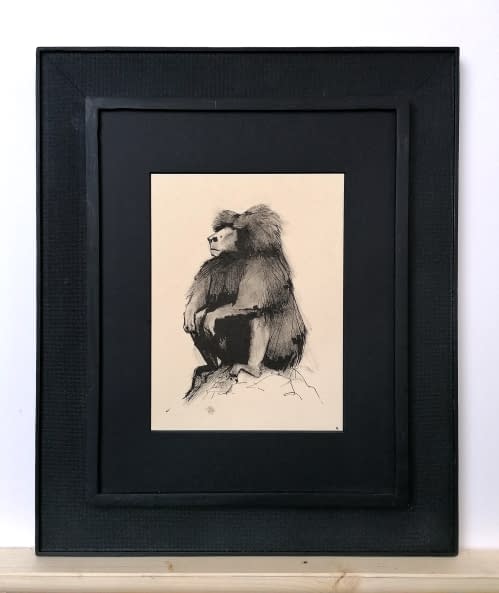 Photo 1 de l'œuvre "Pavian 1" par Rémy Sant sur art24
