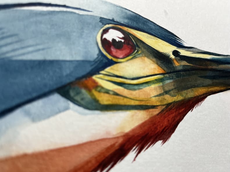Photo 1 de l'œuvre "agami heron side" par Rémy Sant sur art24