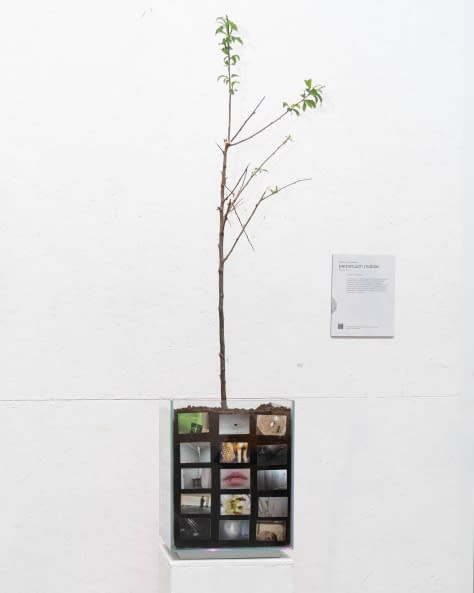 Foto 1 des Kunstwerks "Perpetuum Mobile" von alice.in.fotoland auf art24