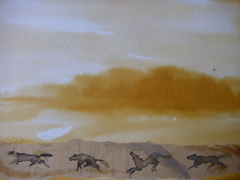 Image 1 of the artwork "Coyoten" by Ebba Sakel on art24