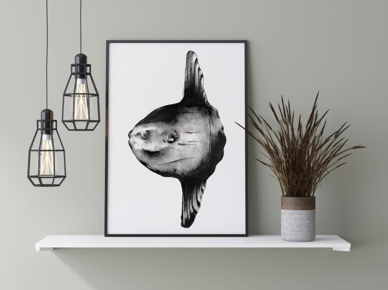 Photo 1 de l'œuvre "Molamola" par Rémy Sant sur art24