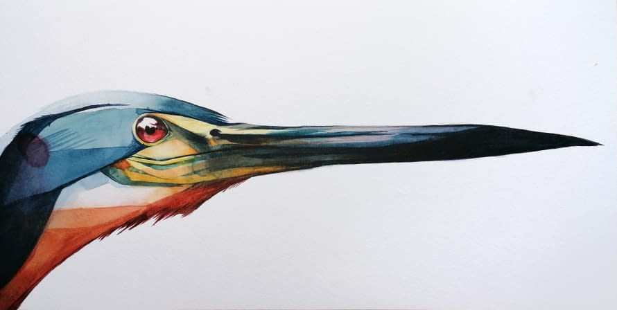 Photo 1 de l'œuvre "agami heron side" par Rémy Sant sur art24