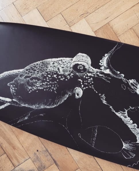 Image 1 of the artwork "Octopus" by Karin Studer on art24