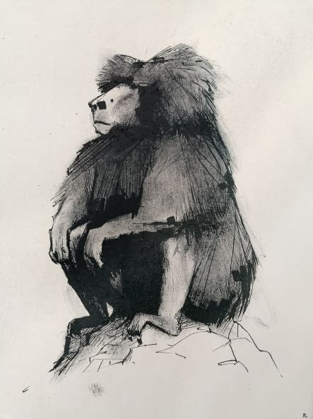 Photo 1 de l'œuvre "Pavian 1" par Rémy Sant sur art24
