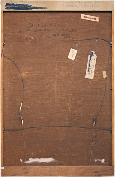 Image 1 of the artwork "Opilion trépané de douleur/blondeur (?) corporelle" by Jean Noël Delalande on art24