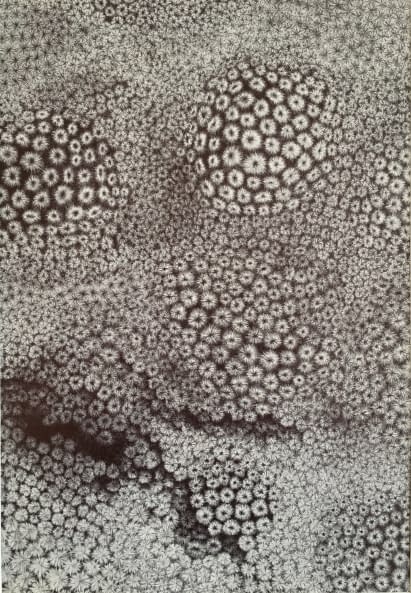 Image 1 of the artwork "Faszinierende Welten" by Thomas van der Heide on art24