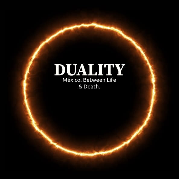 Foto 1 des Kunstwerks "DUALITY. ARTBOOK." von Thomas Haensgen auf art24
