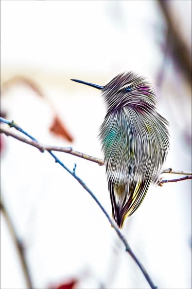 Foto 1 des Kunstwerks "Fluffy Animals" von Thomas Haensgen auf art24