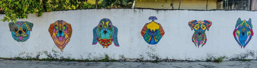 Image 1 of the artwork "#1.3 Street Cozumel. Teil 3 der Serie: DUALITY. MEXICO. BETWEEN LIFE & DEATH." by Thomas Haensgen on art24