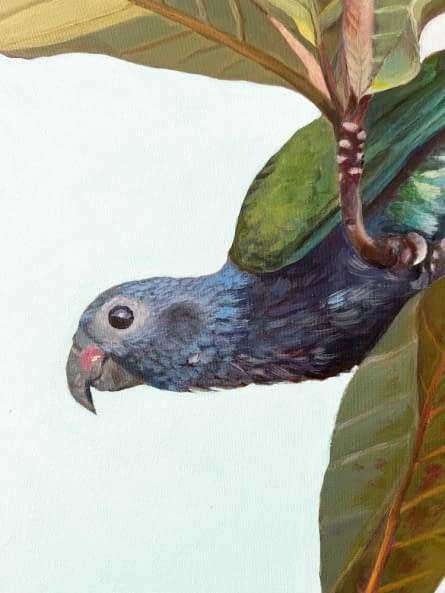 Image 1 of the artwork "2 maitaca-verde parrots  on a terminalia catappa tree" by Clarissa P. Valaeys on art24