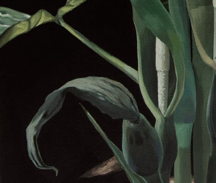 Image 1 of the artwork "Elephant ear" by Clarissa P. Valaeys on art24