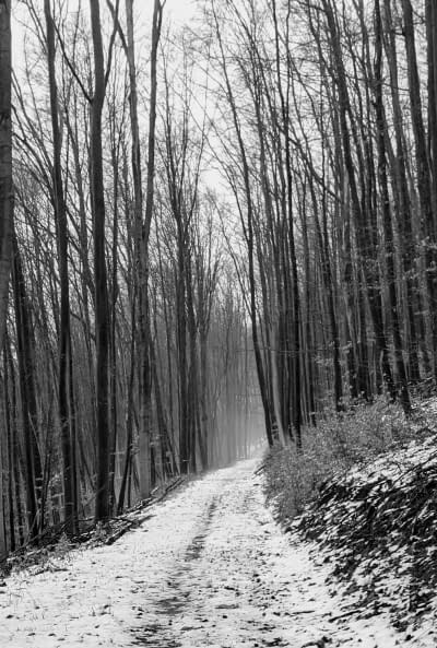 Photo 1 de l'œuvre "Der Weg..." par HamingjaDesWaldes sur art24
