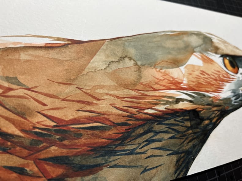 Foto 1 des Kunstwerks "Ferruginous hawk side" von Rémy Sant auf art24