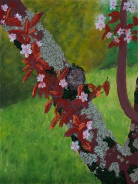 Photo 1 de l'œuvre "Cherry Tree" par Alexia Vernier sur art24