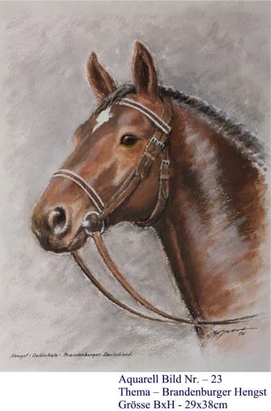 Image 1 of the artwork "23. Brandenburger Hengst" by Hans Jakob on art24