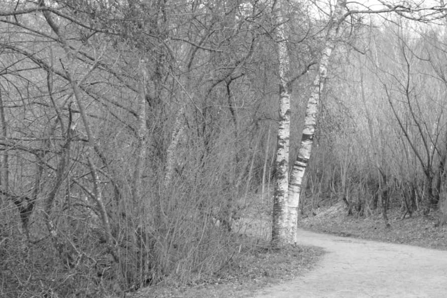 Image 1 of the artwork "Malsaucy" by Aurore Bohnenblust-Grosboillot on art24