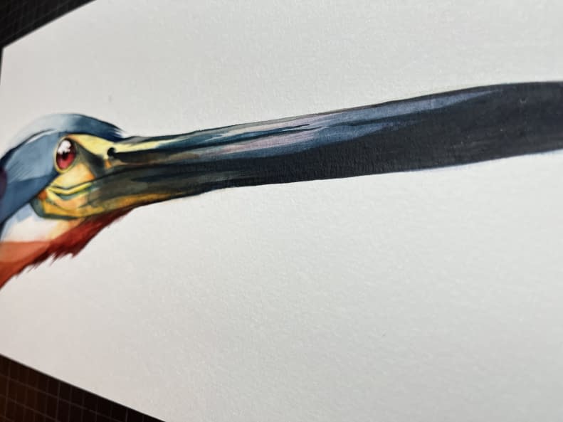 Photo 1 de l'œuvre "agami heron side" par Rémy Sant sur art24