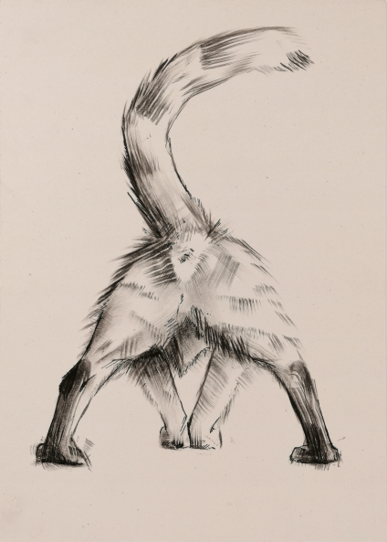 Photo 1 de l'œuvre "16 Cat Butts" par Rémy Sant sur art24