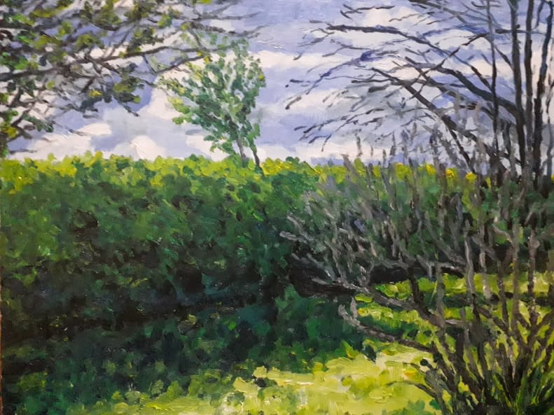 Image 1 of the artwork "Jardin par grand vent" by balivet on art24