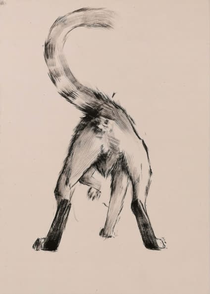 Photo 1 de l'œuvre "16 Cat Butts" par Rémy Sant sur art24