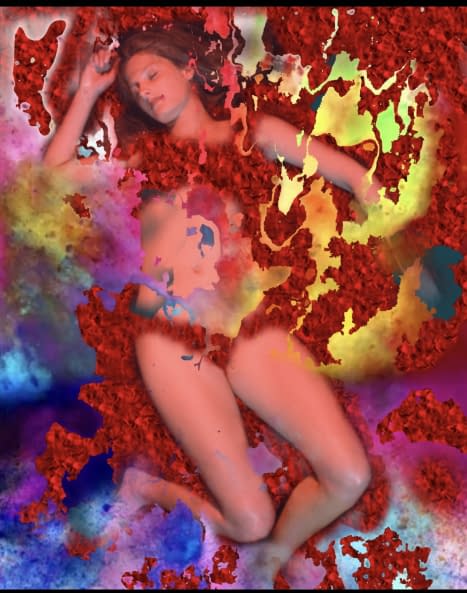 Photo 1 de l'œuvre "*American Beauty*" par Josef H. Neumann sur art24