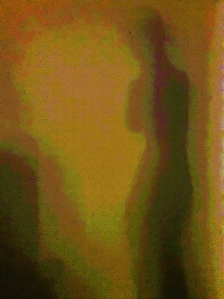 Image 1 of the artwork "Aus den Schatten" by Renata Srebro on art24