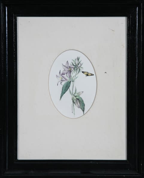 Image 1 of the artwork "Blumen" by Jarmila Chytilová Svojanovská on art24