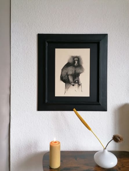Photo 1 de l'œuvre "Gelada 2" par Rémy Sant sur art24