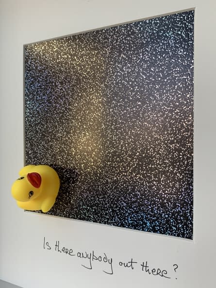 Image 1 of the artwork "Is there anybody out there ?" by T P Hardisty on art24