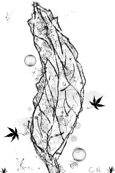Image 1 of the artwork "The fall in the spring" by Beauty Chimma on art24