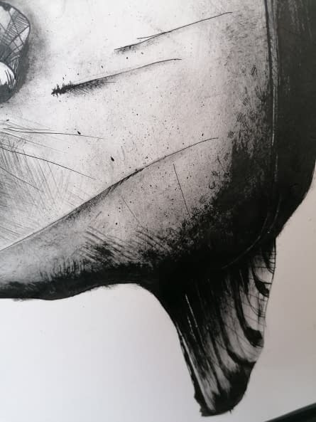 Photo 1 de l'œuvre "Molamola" par Rémy Sant sur art24