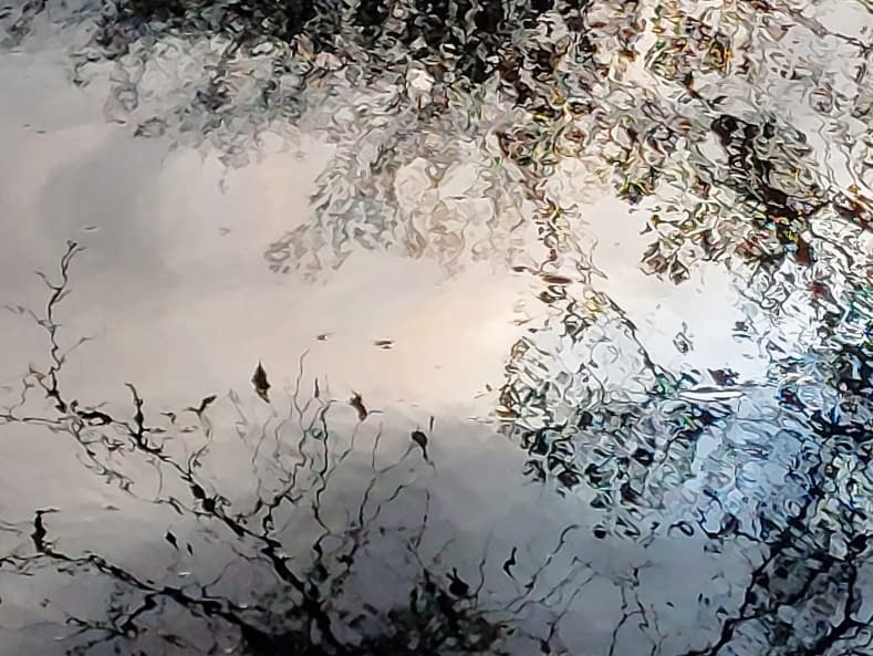 Image 1 of the artwork "November" by Renata Srebro on art24