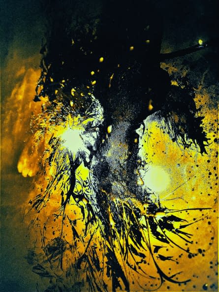Foto 1 des Kunstwerks "Roots and wings" von Renata Srebro auf art24