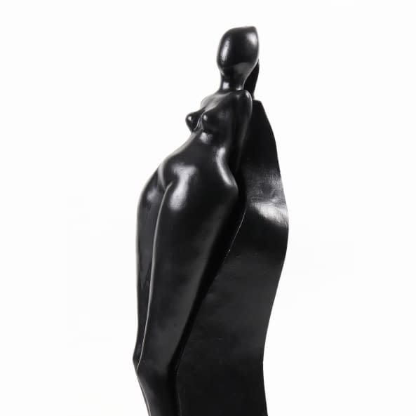 Photo 1 de l'œuvre "Metamorphose" par Nicole Kretz Bellieres sur art24