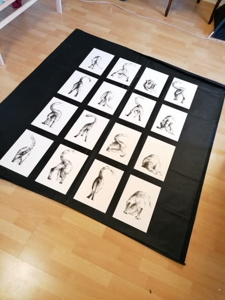 Photo 1 de l'œuvre "16 Cat Butts" par Rémy Sant sur art24