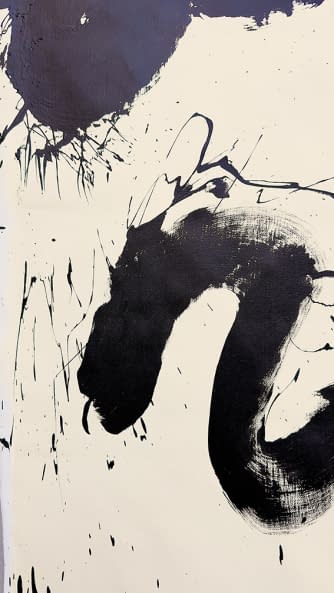 Foto 1 des Kunstwerks "Inexprimable Sent" von Magdalena Olkówna auf art24