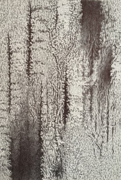 Image 1 of the artwork "Faszinierende Welten" by Thomas van der Heide on art24