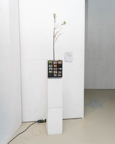 Foto 1 des Kunstwerks "Perpetuum Mobile" von alice.in.fotoland auf art24