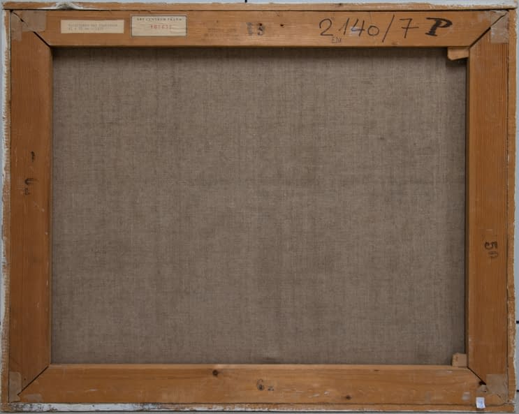 Image 1 of the artwork "Waldlichte bei Maskovice" by Jan Sklenar on art24