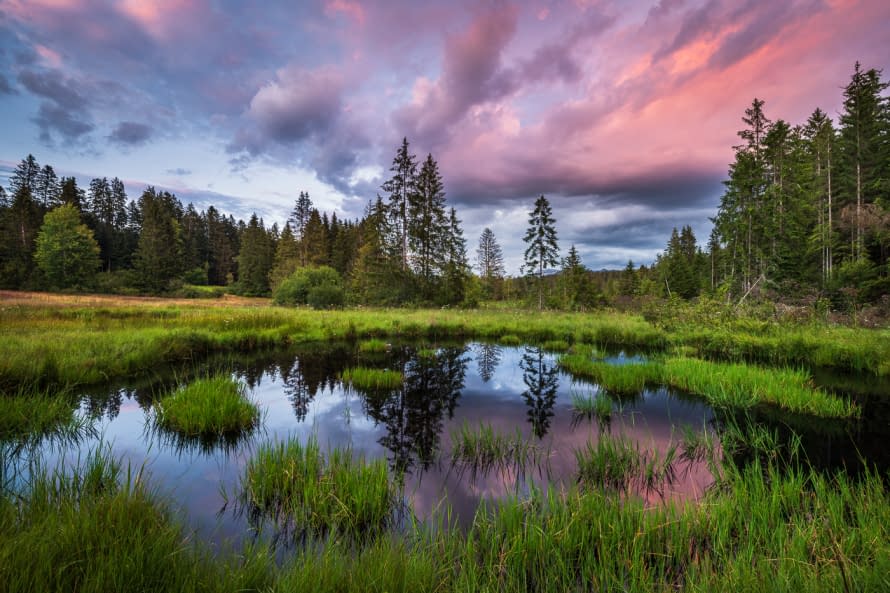 Photo 1 de l'œuvre "The Pond" par Martin Mägli sur art24
