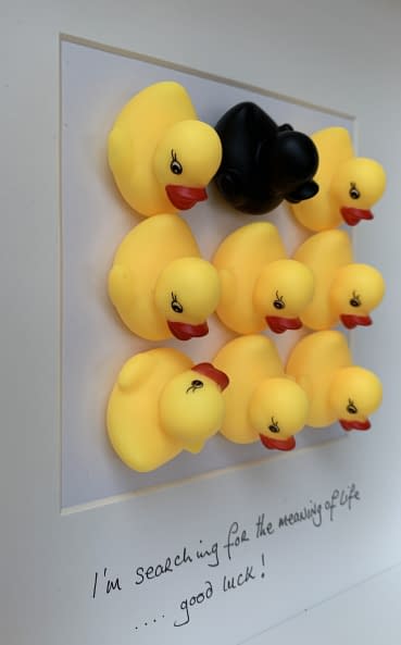 Foto 1 des Kunstwerks "I'm looking for the meaning of life …good luck !" von T P Hardisty auf art24