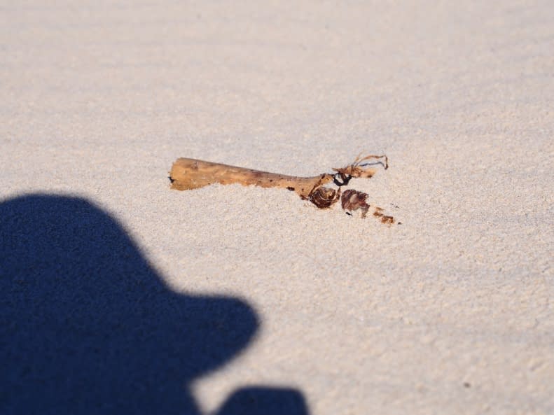 Foto 1 des Kunstwerks "Wood and Sand" von Euphor auf art24
